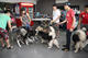 G-Pet - Huskies christmas party - 2015