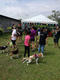 Beagle club 2017G-Pet - Beagle club 2017