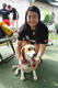 Beagle club 2017G-Pet - Beagle club 2017