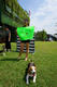 Beagle club 2017G-Pet - Beagle club 2017