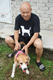 Beagle club 2017G-Pet - Beagle club 2017