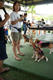 Beagle club 2017G-Pet - Beagle club 2017