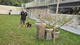 G-Pet - The trainning fields