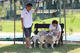 G-Pet - The trainning fields