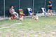 G-Pet - The trainning fields