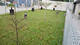 G-Pet - The trainning fields