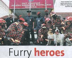 G-Pet - Furry heroes