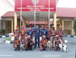 G-Pet - Bomba