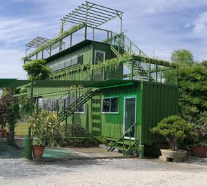 G-Pet - Cats Boarding Hotel